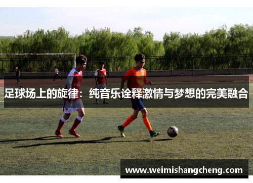 足球场上的旋律：纯音乐诠释激情与梦想的完美融合
