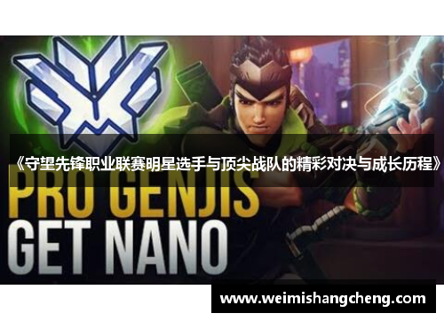 《守望先锋职业联赛明星选手与顶尖战队的精彩对决与成长历程》