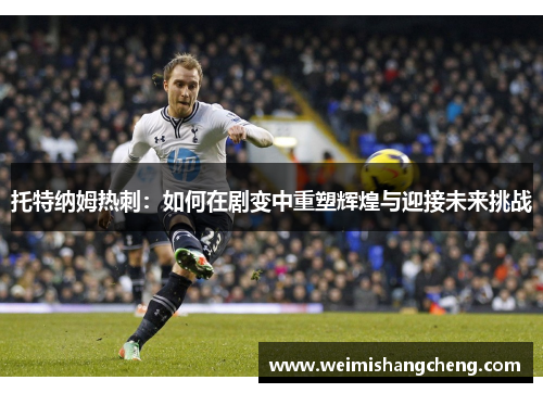 托特纳姆热刺：如何在剧变中重塑辉煌与迎接未来挑战