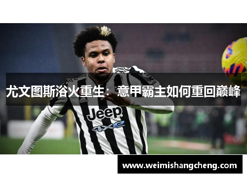 尤文图斯浴火重生:意甲霸主如何重回巅峰 尤文图斯浴火重生:意甲霸主如何重回巅峰