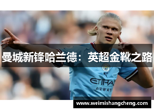 曼城新锋哈兰德：英超金靴之路